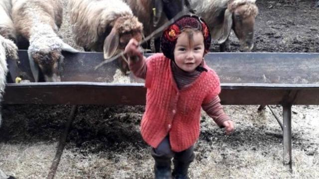 Müslümenin gözaltına alınan yakınları adliyeye sevk edildi