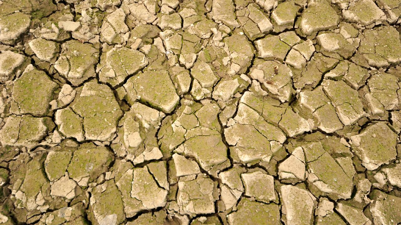 "Sudan tasarruf etmemiz gerek"