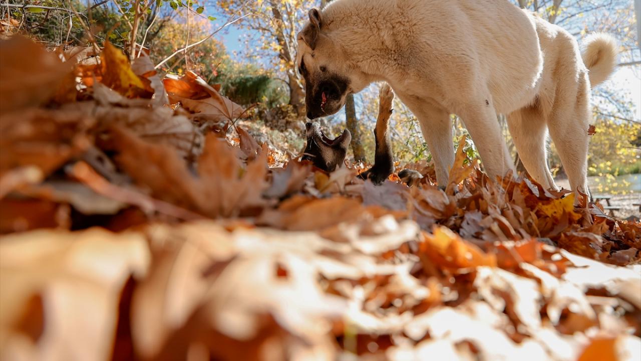 "Her mevsim farklı görsel sunuyor"