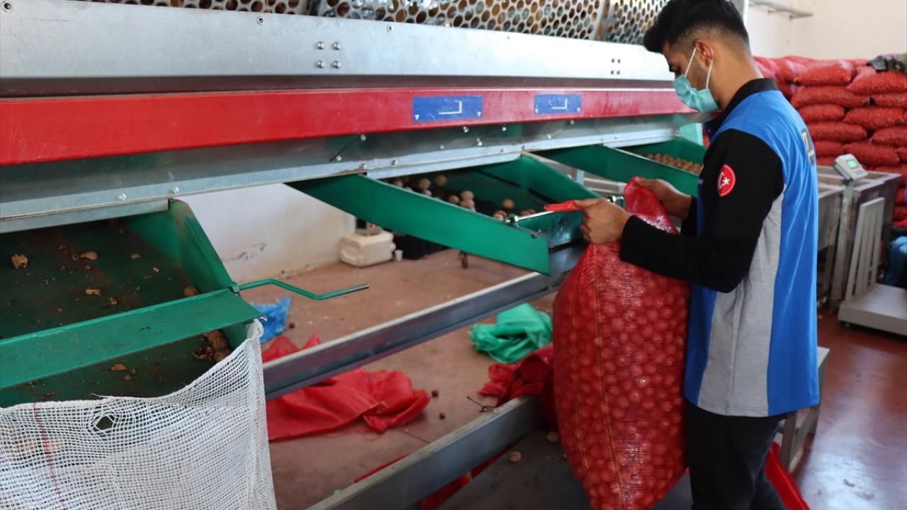 Hedef bin ton üretim