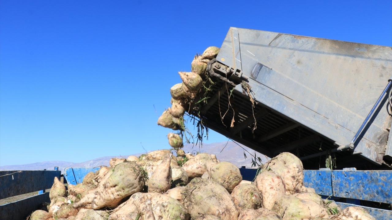 "İşimiz gerçekten emek isteyen zor bir iş"