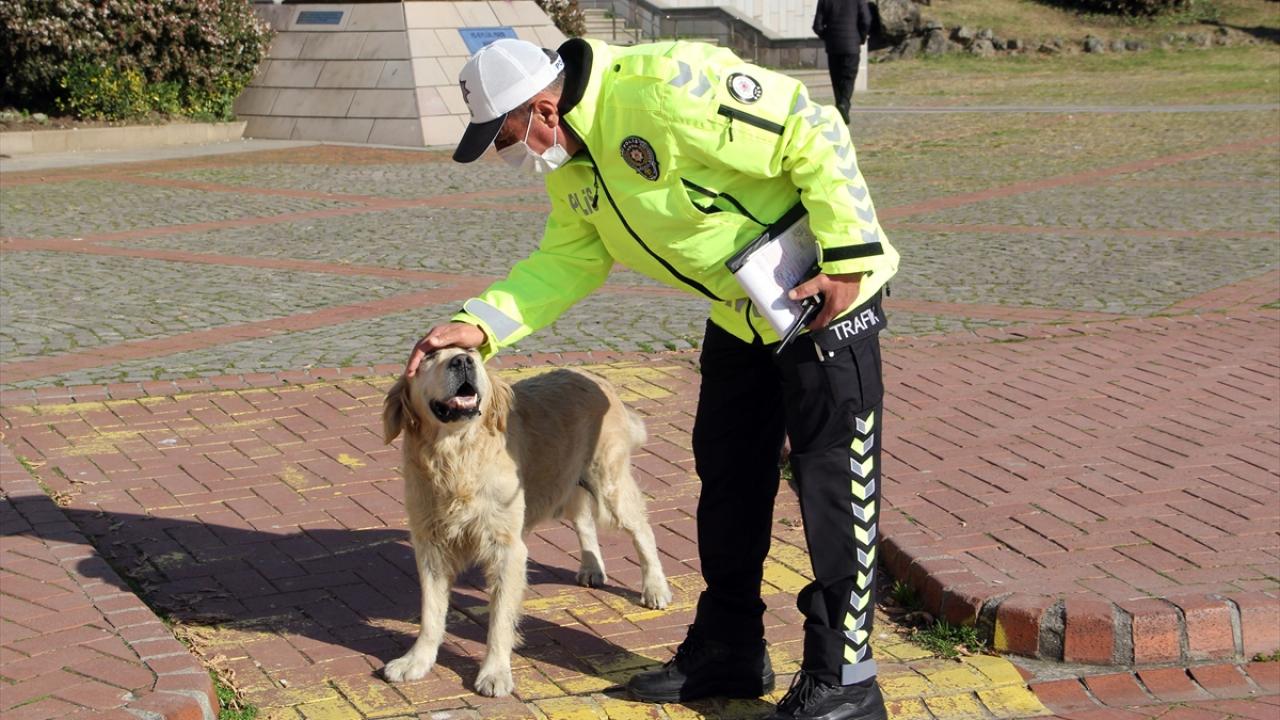 "Dört gün ayrı kaldık, hiçbir şey yememiş"