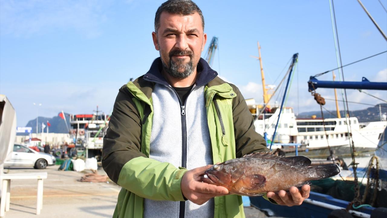 "Karadeniz açısından üzücü gelişme"
