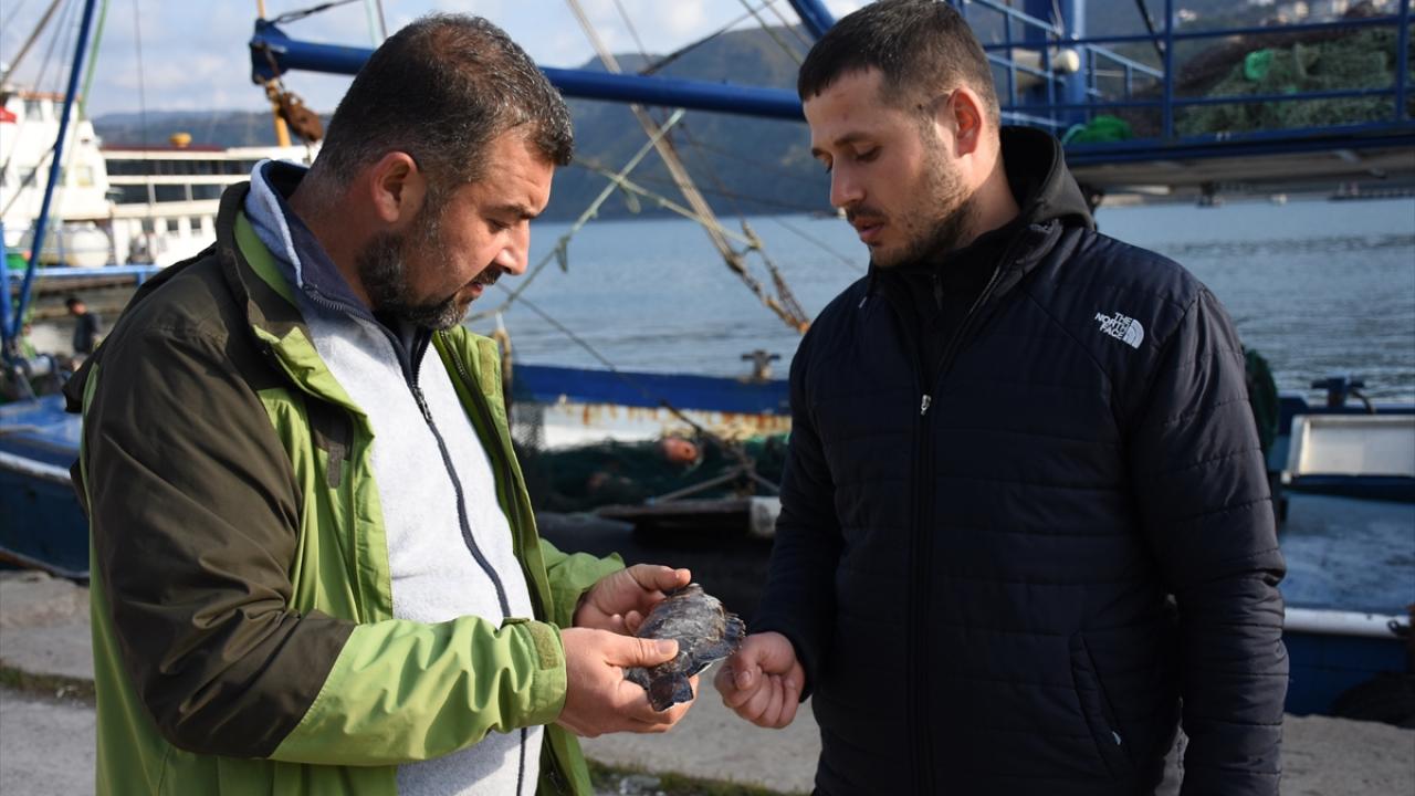 "Bu durumu endişe verici gelişmeler olarak değerlendiriyoruz"