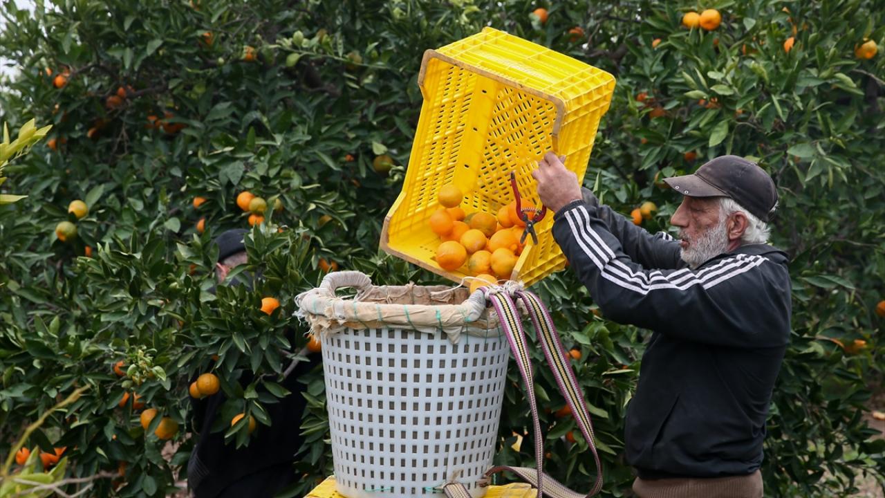 Çiftçiye kuraklığa toleranslı ürün yönlendirmesi