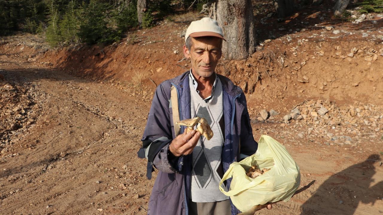 Kilosu 70 ile 90 lira arasında değişiyor