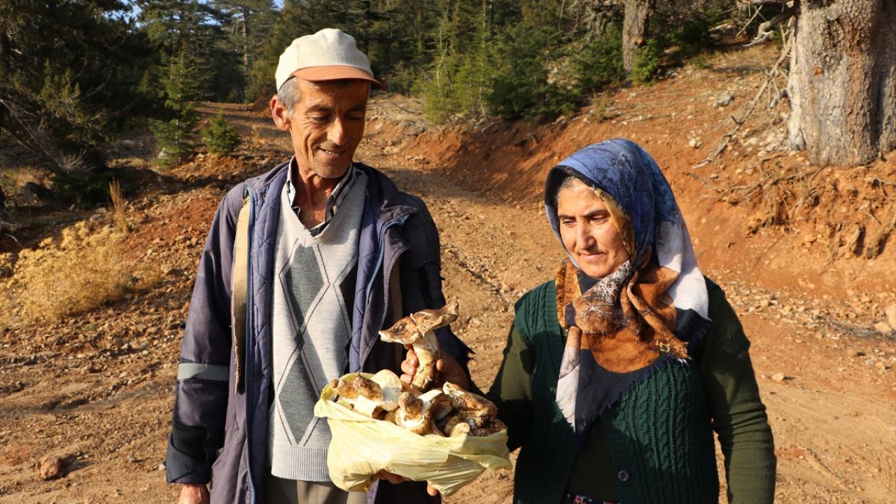 Köy ekonomisine katkı sağlıyorlar