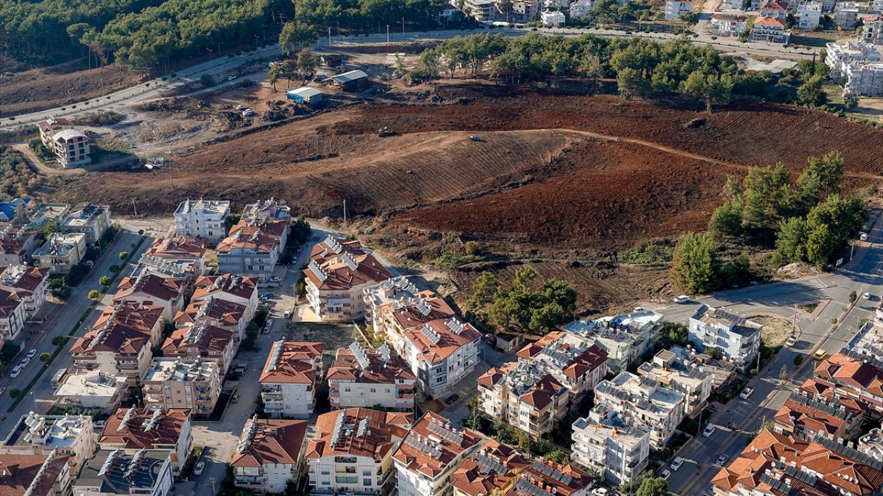 Kızılçam yerine keçiboynuzu, defne ve zeytin