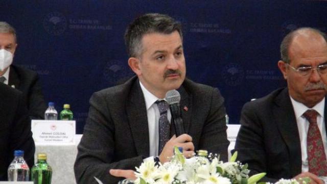 Bakan Pakdemirli: Türkiyenin gıda stokları yeterli