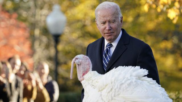 Biden iki hindiyi affetti: Fındık Ezmesi ve Marmelat