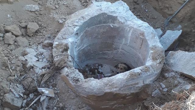 Beton büzde mahsur kalan köpeği itfaiye kurtardı