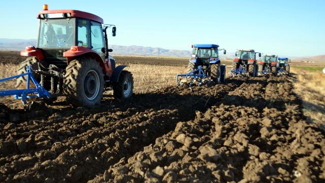 Muşta 1 milyon 200 bin dekar alana buğday ve arpa ekimi yapılacak