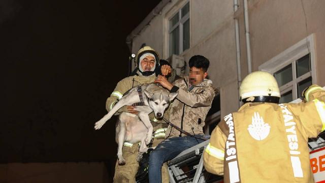 İstanbulda bina yangını: Mahsur kalan 3 kişi ve bir köpek kurtarıldı
