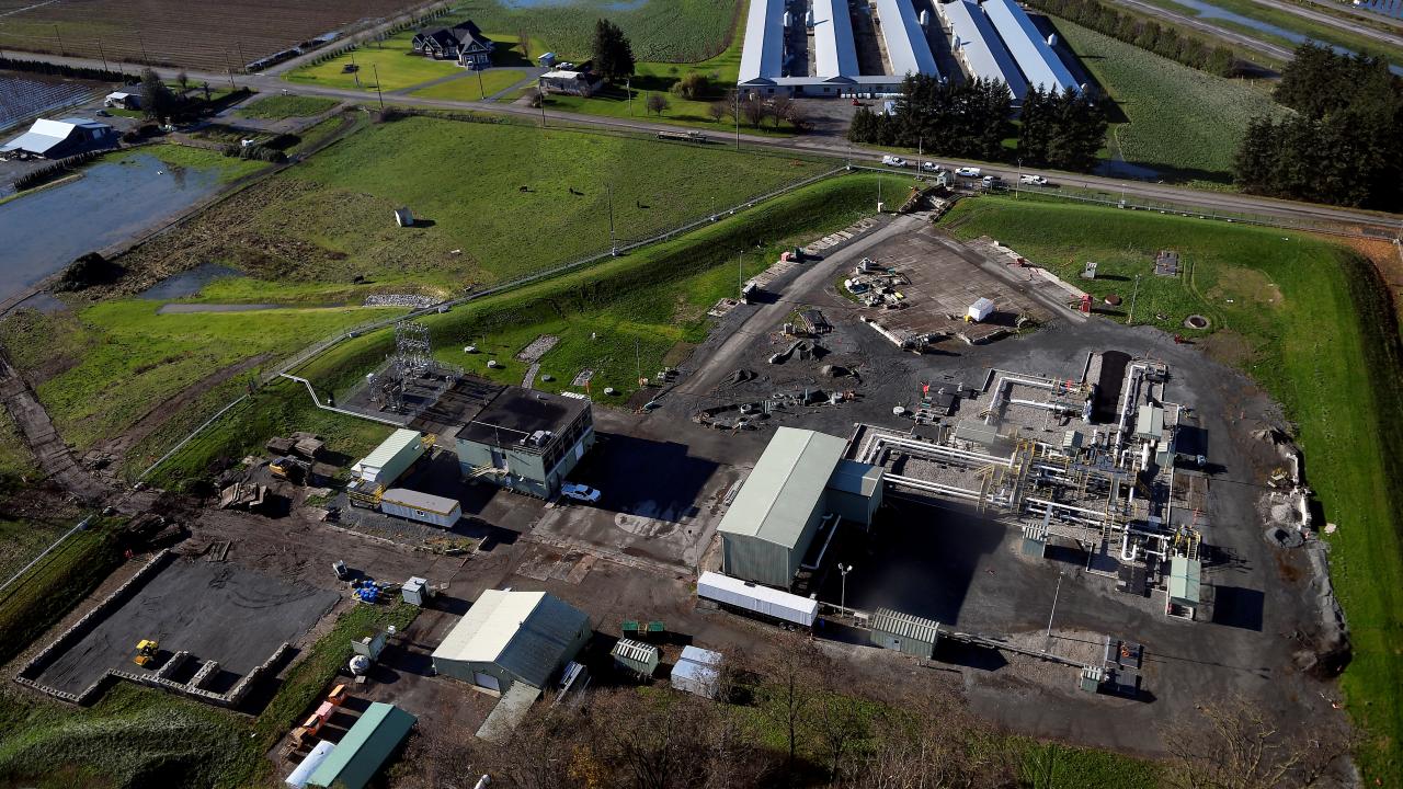 Hayvanlar telef oldu