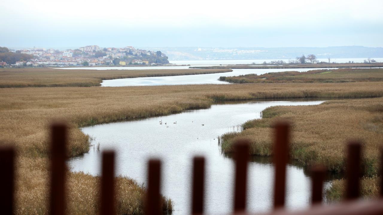 Kamay, 14 metre yüksekliğinde iki kattan oluşan gözlem kulesinden göçmen kuşların rahat bir şekilde görüldüğünü belirterek, 