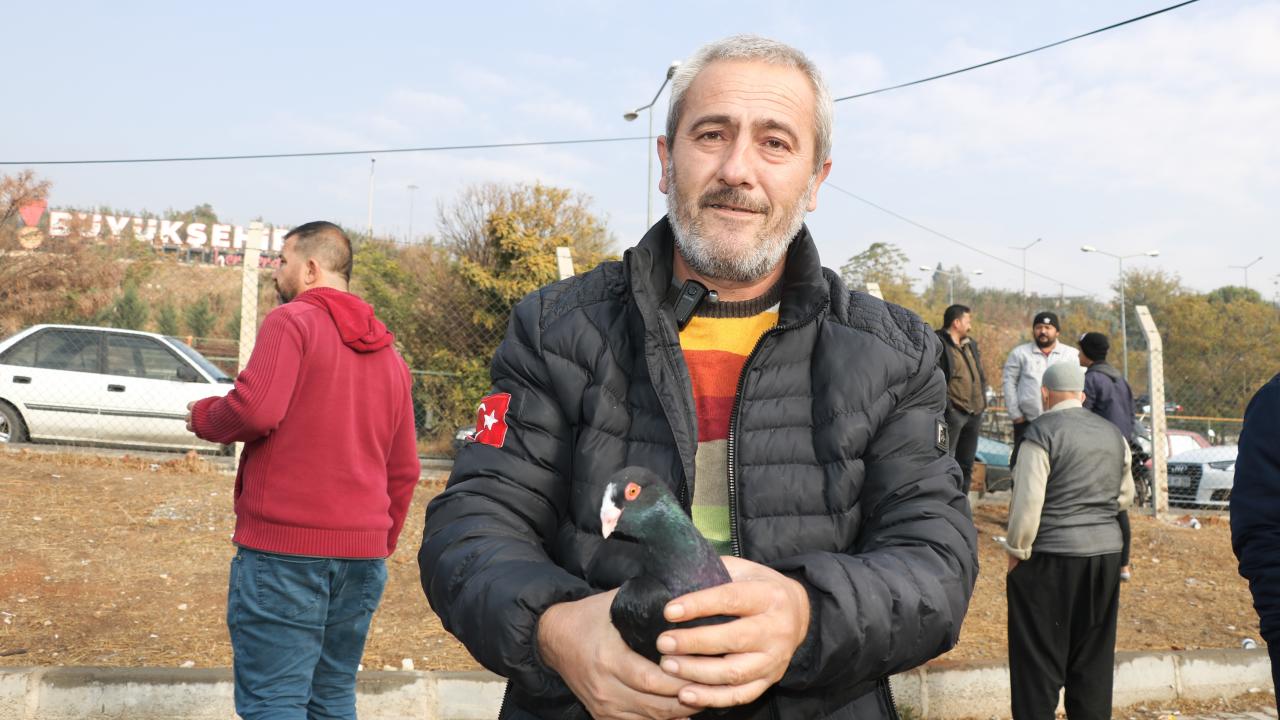 "Güvercin beslemek hobidir"