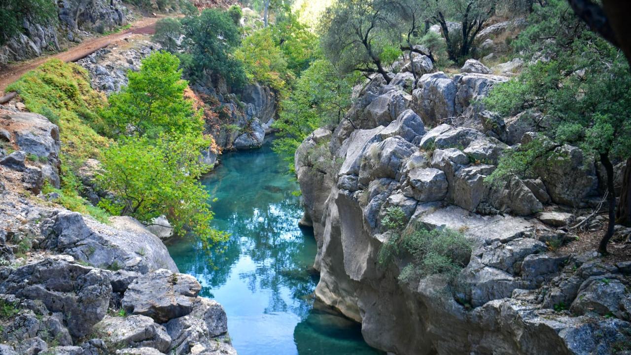 Fotoğraf: Fatih Kaplan