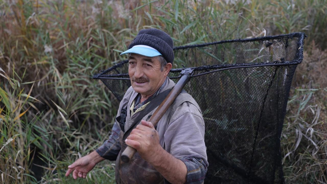 Bazı günler hiç yakalayamıyorlar