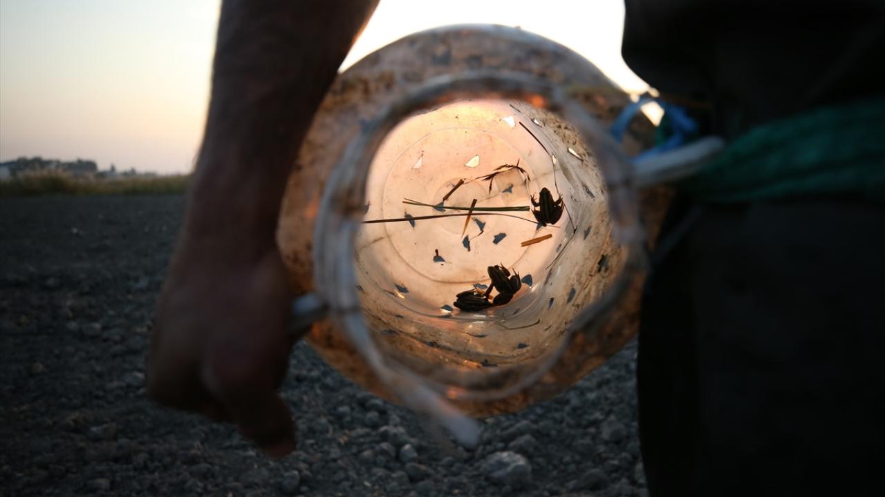 "Bazen suda neyle karşılaşacağımızı bilemiyoruz"