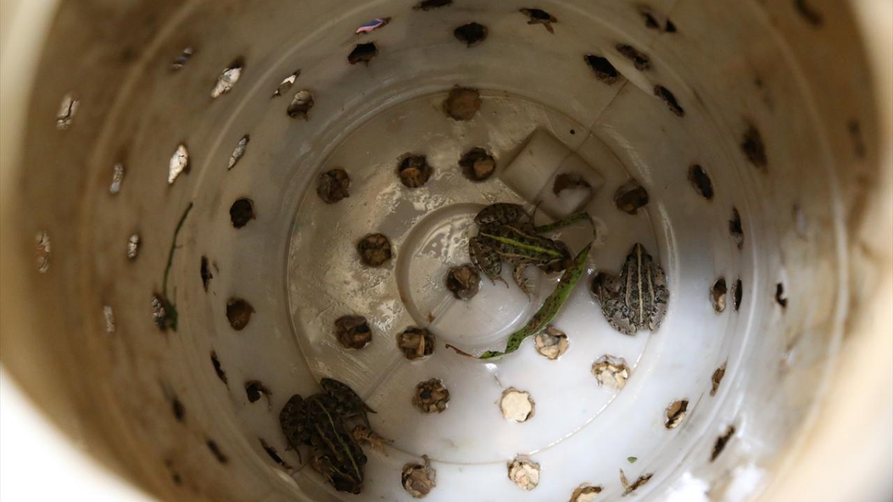 "Evimi bu işle geçindiriyorum"