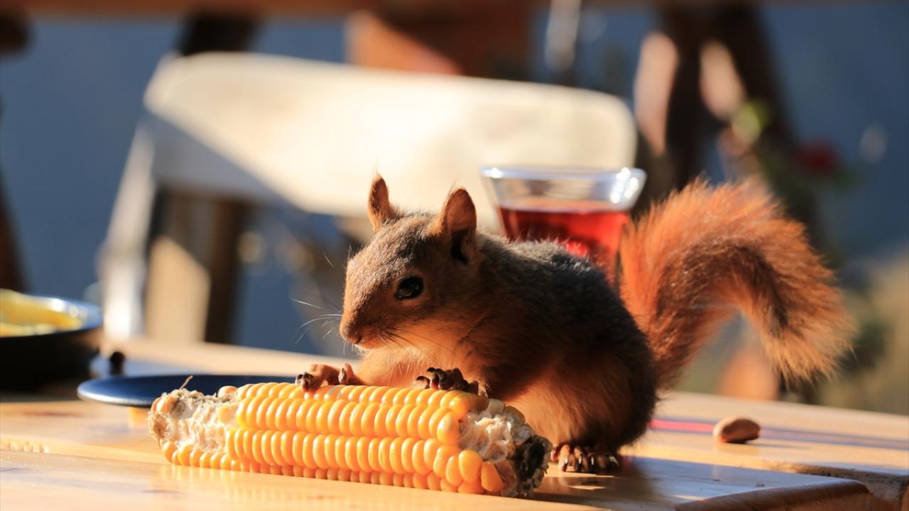 "Bazen sabahları ceketimin cebinde buluyorum"