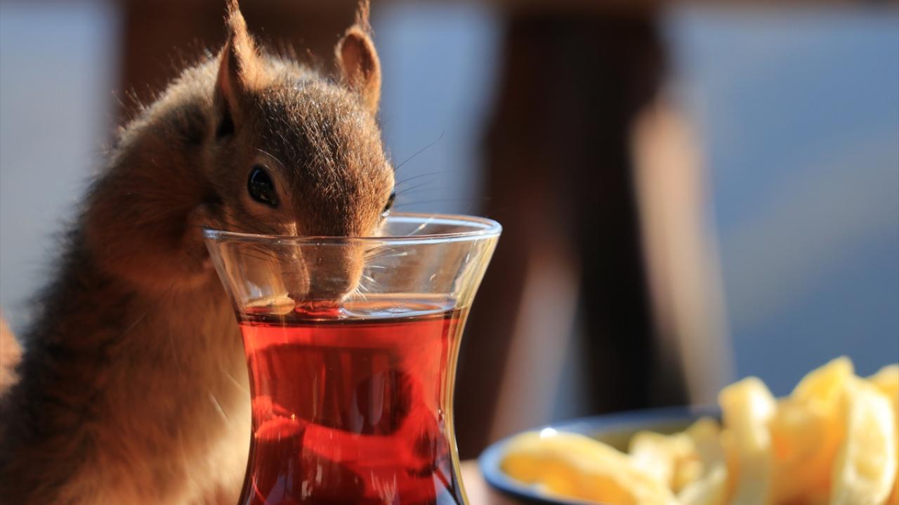 "Doğaya bırakınca bize geri dönüyor"