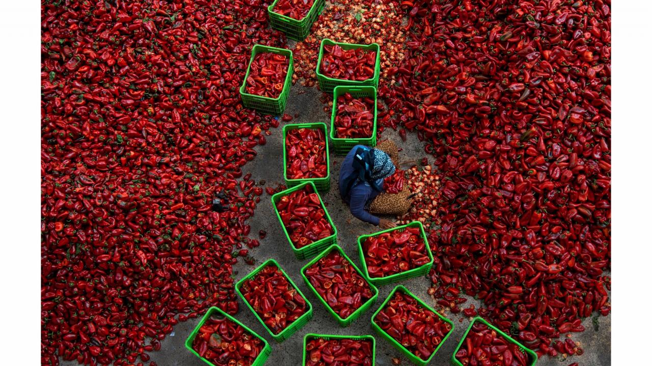 “Foto maratona dönüştüreceğiz”