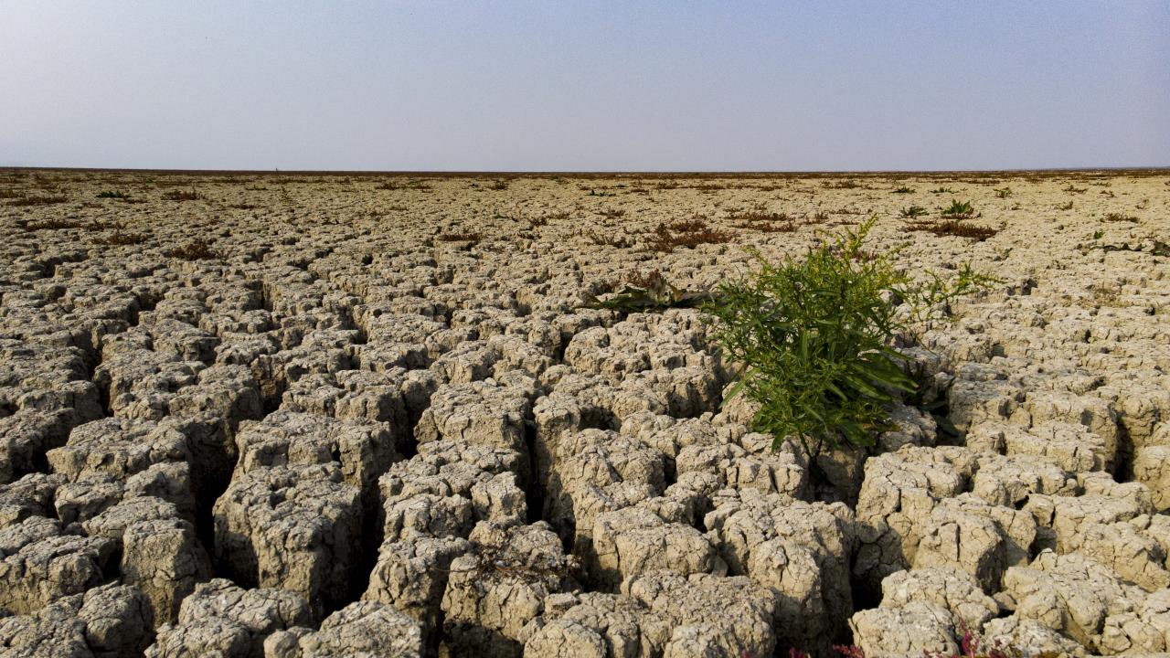 Fotoğraf çekmek için geldi, hayal kırıklığı yaşadı