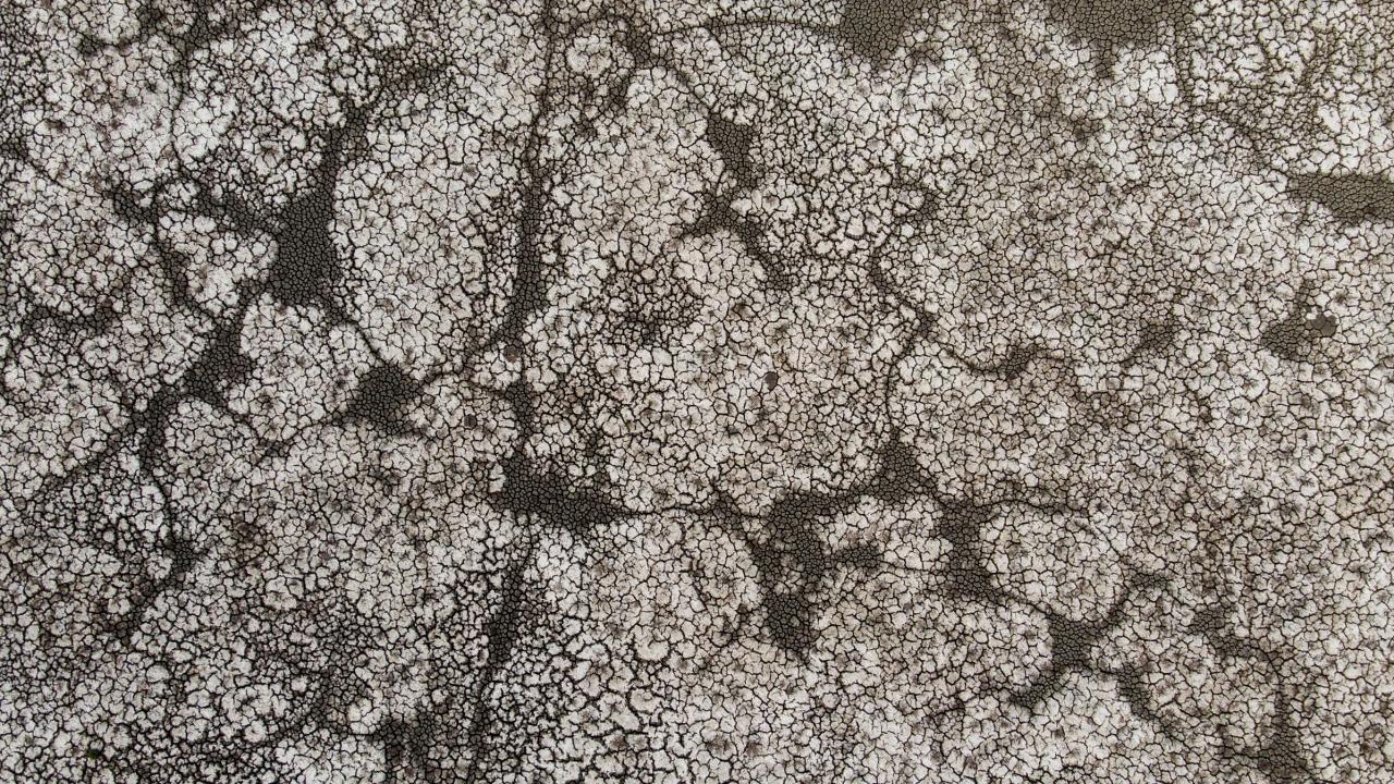 "Fotoğraf adına bir şey kalmamış ancak haber adına çok şey var"