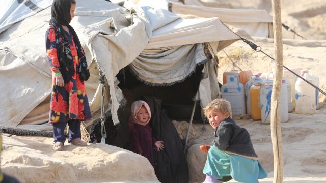 BM: Afganistanda 14 milyon çocuk yetersiz besleniyor