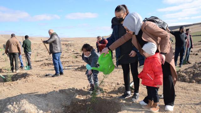Kahramankazanda ağaçlandırma sahasına 2 bin fidan dikildi