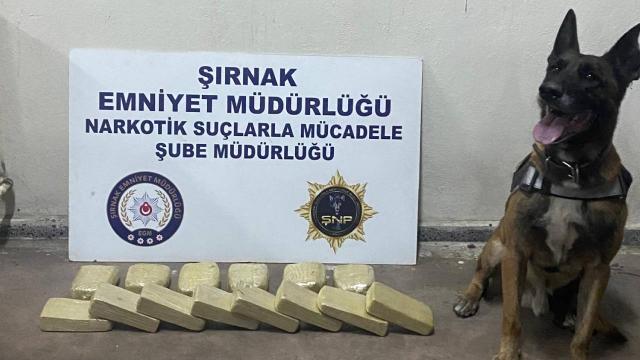 Şırnakta uyuşturucu ve kaçakçılık operasyonu