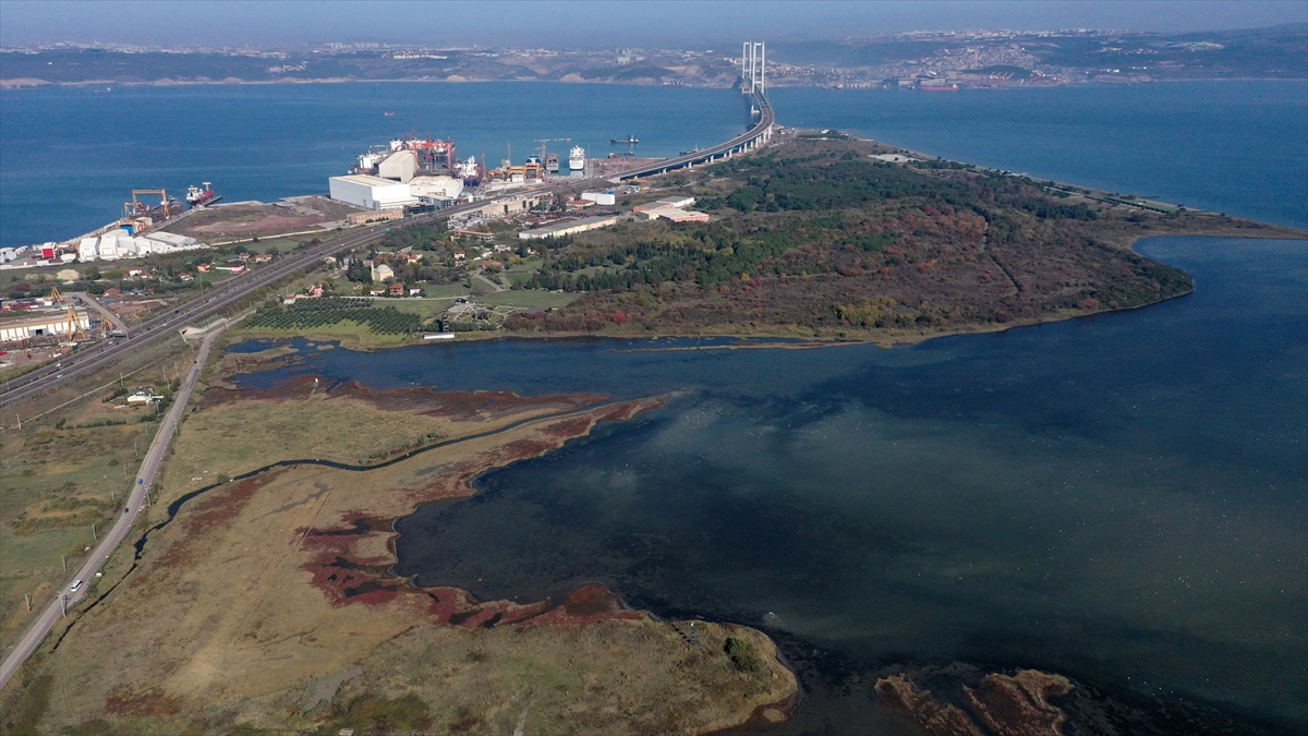 Kuşlar için Osmangazi Köprüsü hattına çelik viyadük ile bağlanan yolun kavisli hale getirilmesi