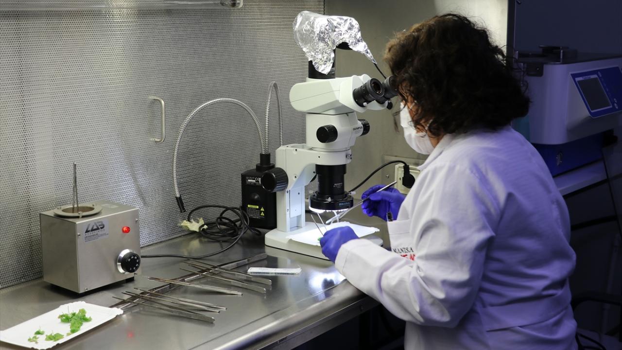 "Bu çalışmada kuraklığa çözüm arayışı içindeyiz"