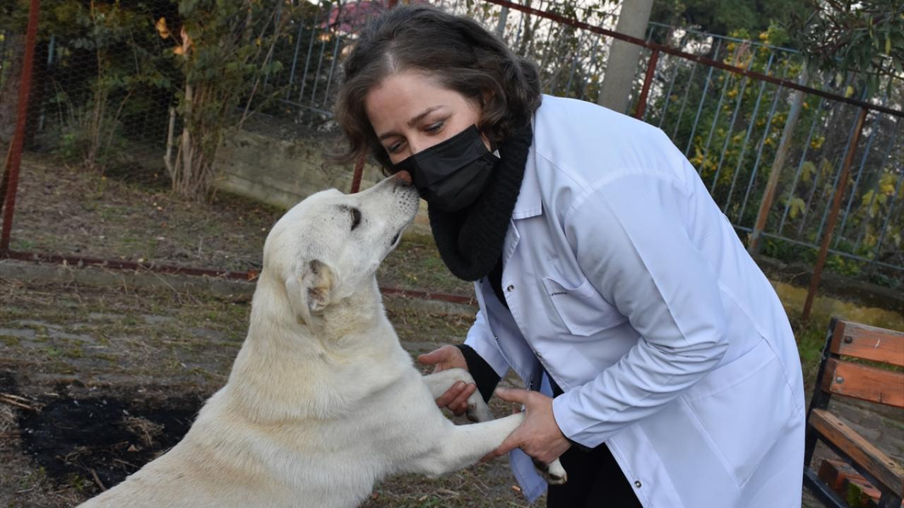 Öğretmenler ve öğrenciler hayvanlara sahip çıktı
