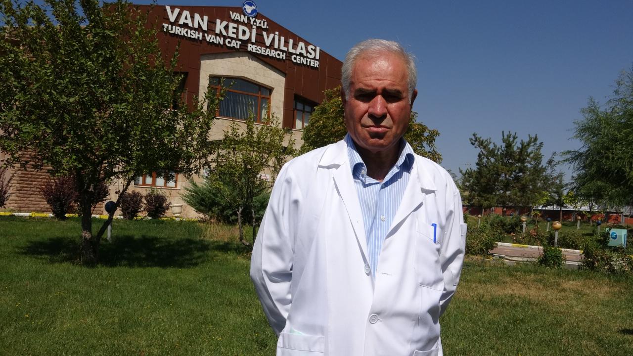 “Fotoğrafta orijinal bir Van kedisi görmedik”
