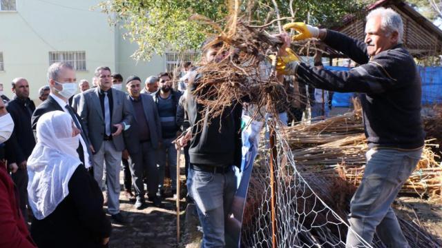Hizanda 22 bin meyve fidanı dağıtıldı