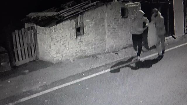 2 kez tavukları çalındı: "Horozlar yalnız kaldı, birinin psikolojisi bozuldu"