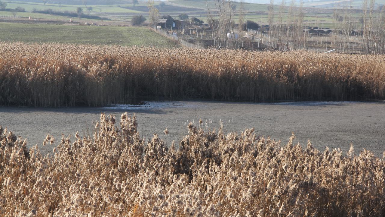 Kuş cenneti bataklığa döndü