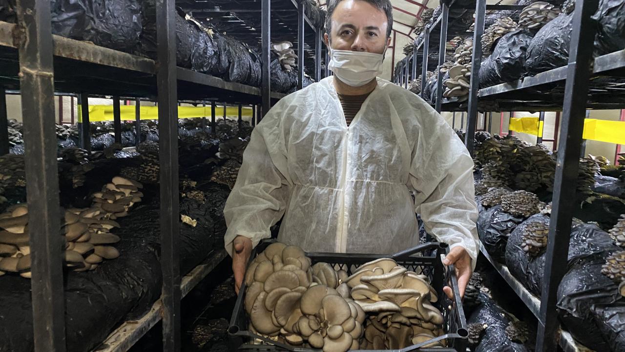 "Kendi işini kurmak isteyenlere hibe desteği var"