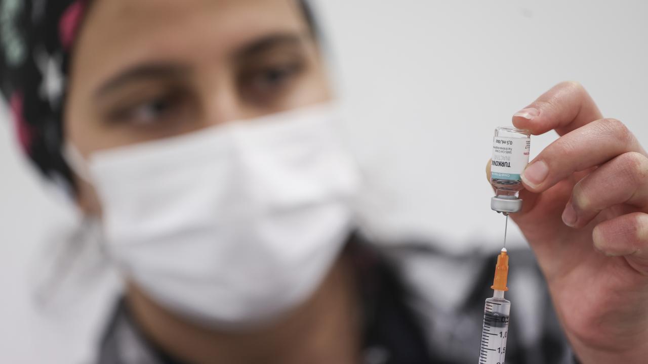 Yerli aşı çalışmaları ne zaman başladı?