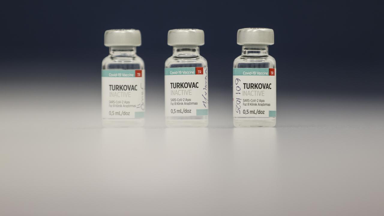 Yerli aşı çalışmaları ne zaman başladı?