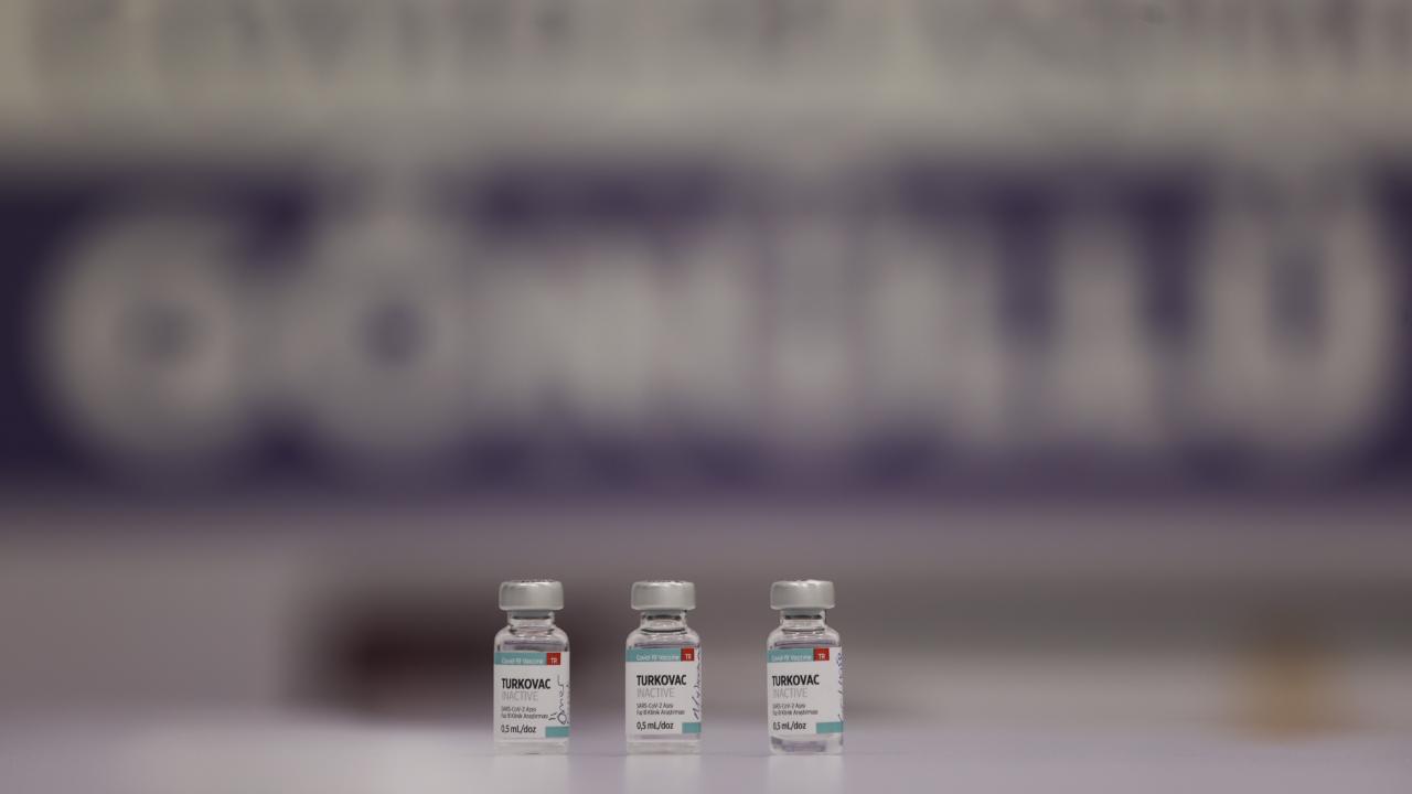 Yerli aşı çalışmaları ne zaman başladı?