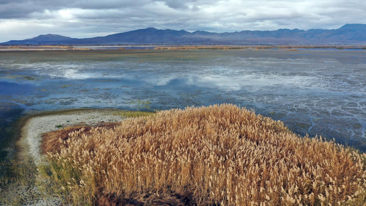 "Hiç böyle kuraklık olmamıştı"