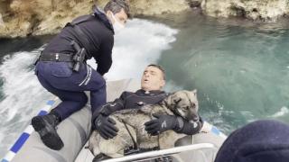 Falezlerde mahsur kalan köpeği deniz polisi kurtardı