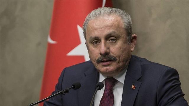 TBMM Başkanı Şentoptan Sarıkamış mesajı