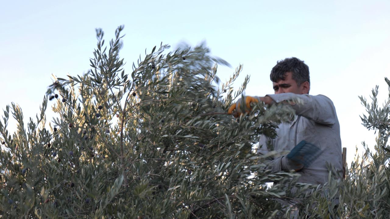 Gördükleri talebin kendilerini sevindirdiğini aktaran Dönmez, şunları kaydetti: