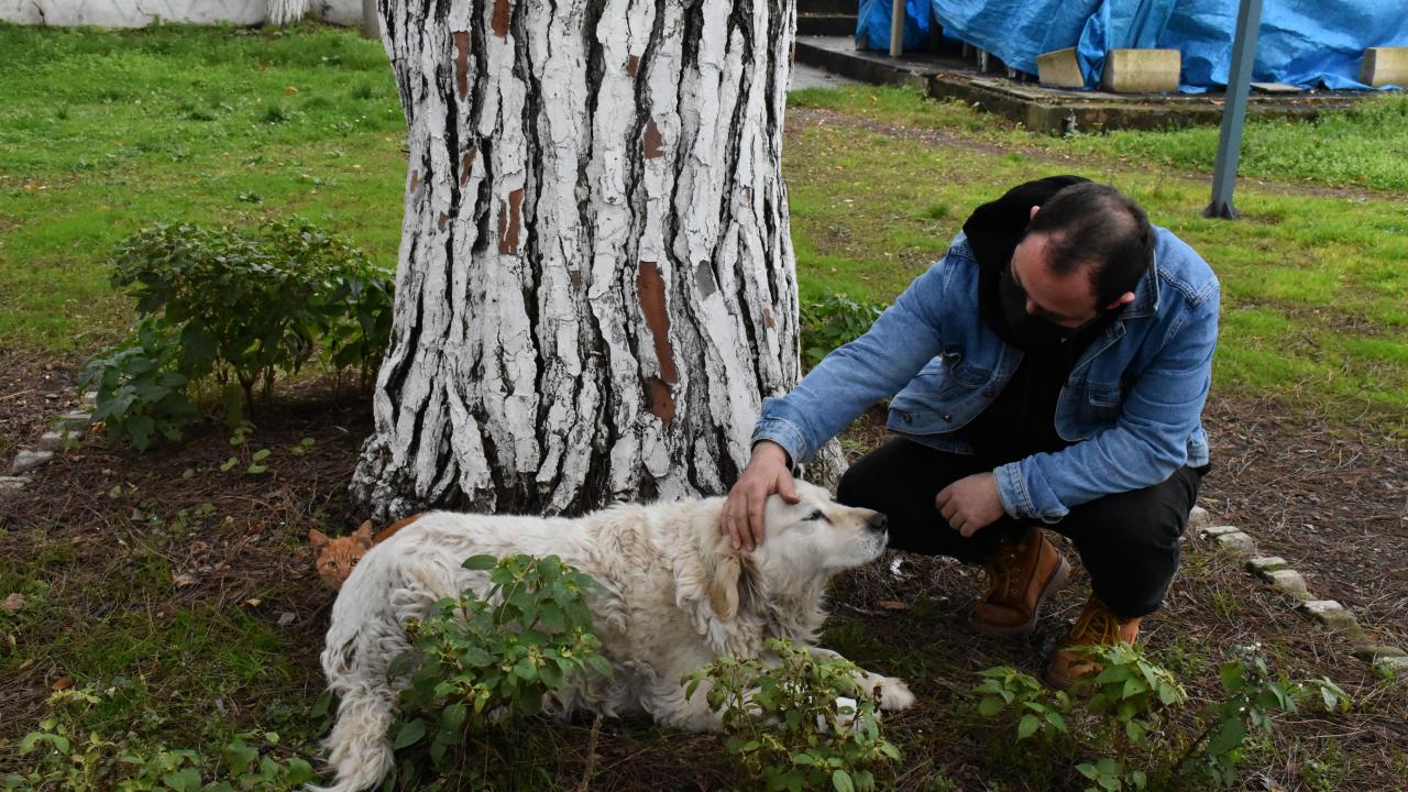 Festivale gelen Gülbahar Karahasan ise gezerken karşılaştığı bu tablo karşısında şaşırdığını ifade ederek,