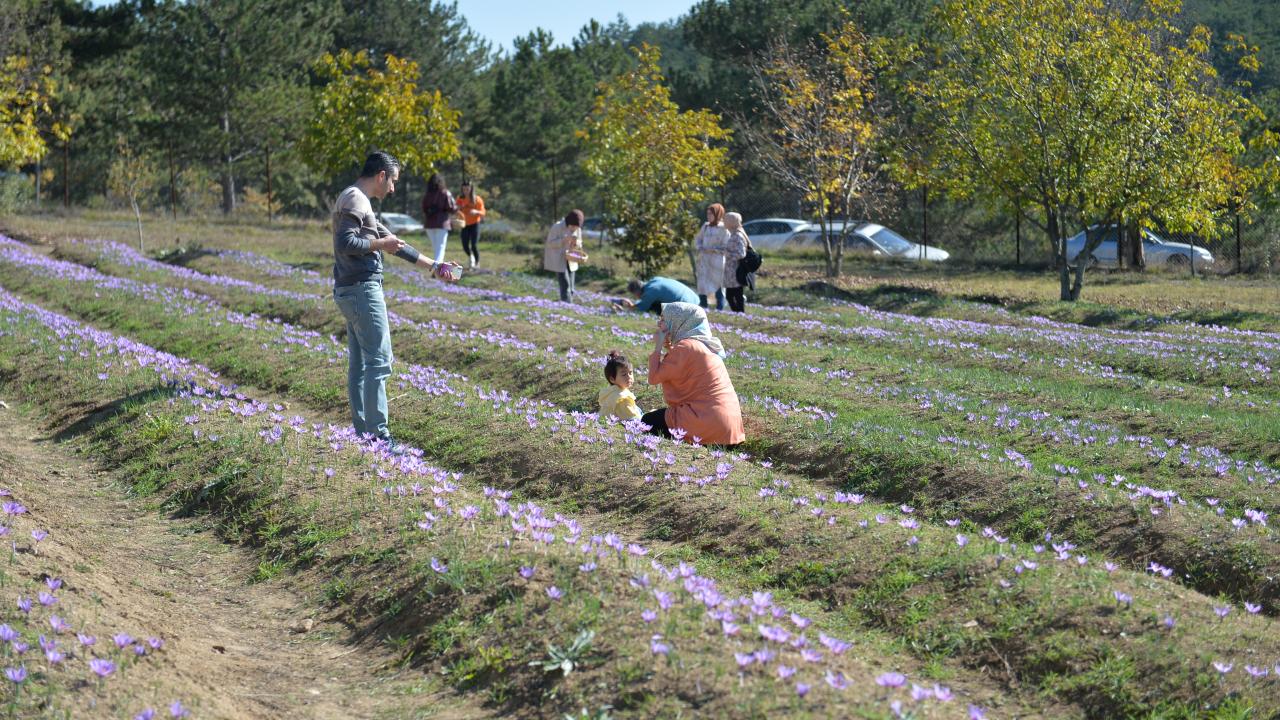 20 kadının tarımsal faaliyete başlaması sağlanacak