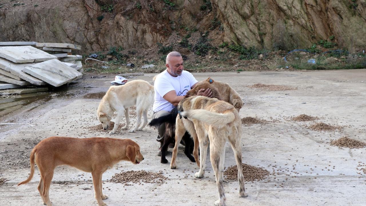 "Dostlarımıza sahip çıkmamız lazım"